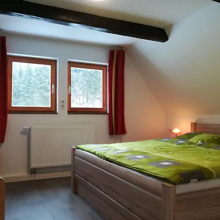 Oberlochmuehle 3* Deutschneudorf