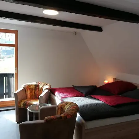 Oberlochmuehle 3* Deutschneudorf