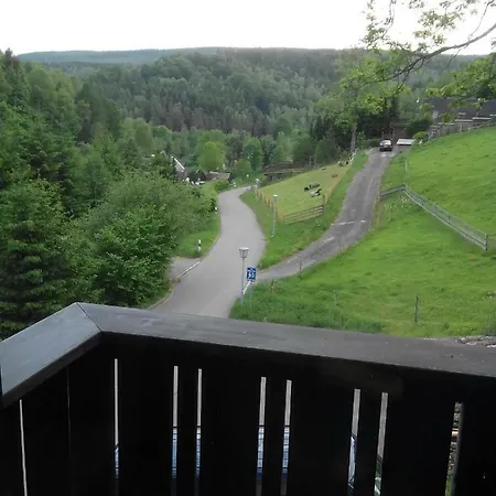 Oberlochmuehle Гостевой дом Deutschneudorf